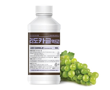 통합진료의 특별함 관련 사진 9